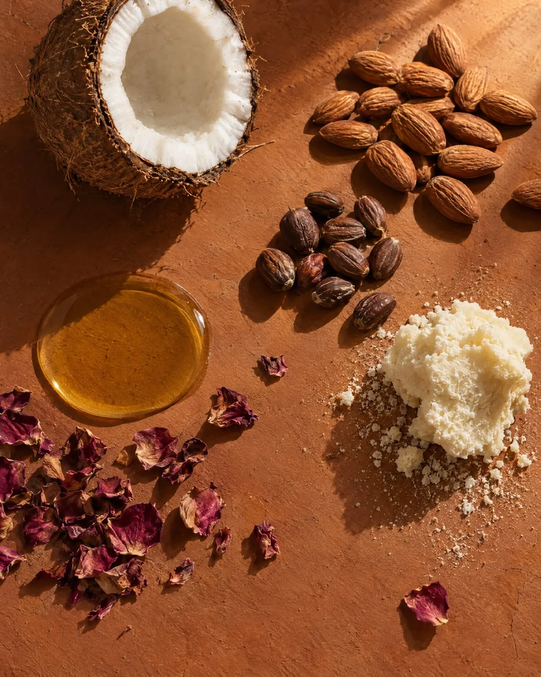 Noix de coco, amandes, graines de jojoba, beurre de karité, pétales de rose et huile dorée, posés sur une pierre ocre